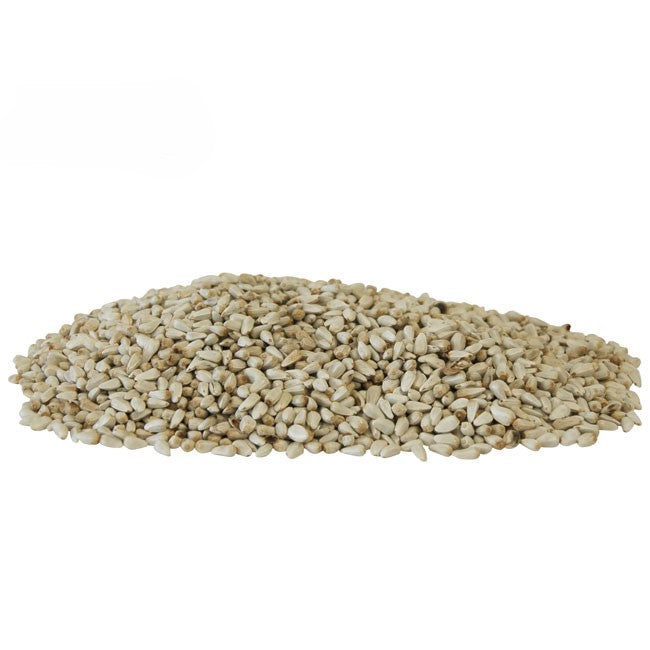 where to buy safflower seeds for planting Safflower Seed – Wild Bird Store Online
