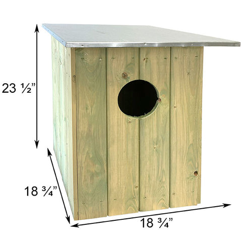 Esschart Design Barred Owl House