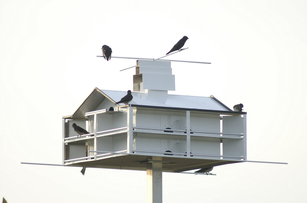 Trendsetter Purple Martin House - 18 Room – Wild Bird Store Online