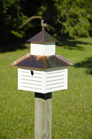 Rusty Rooster Bird House
