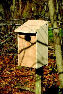 Heartwood Wood Duck Joy Box - www.wildbirdstoreonline.com