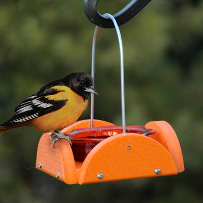 Woodlink Going Green™ Oriole Feeder with Glass Dish