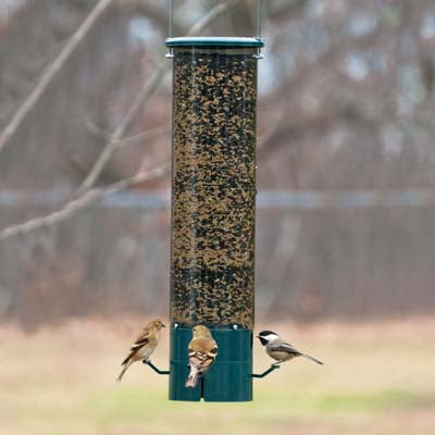 The Magnet Squirrel Resistant Feeder