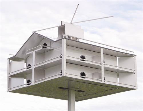 ●OUR HOUSE ミドル Trendsetter Purple Martin House - 18 Room – Wild Bird Store Online