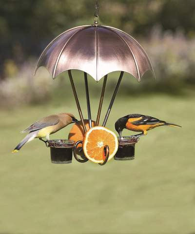 Oriole Bird Feeders