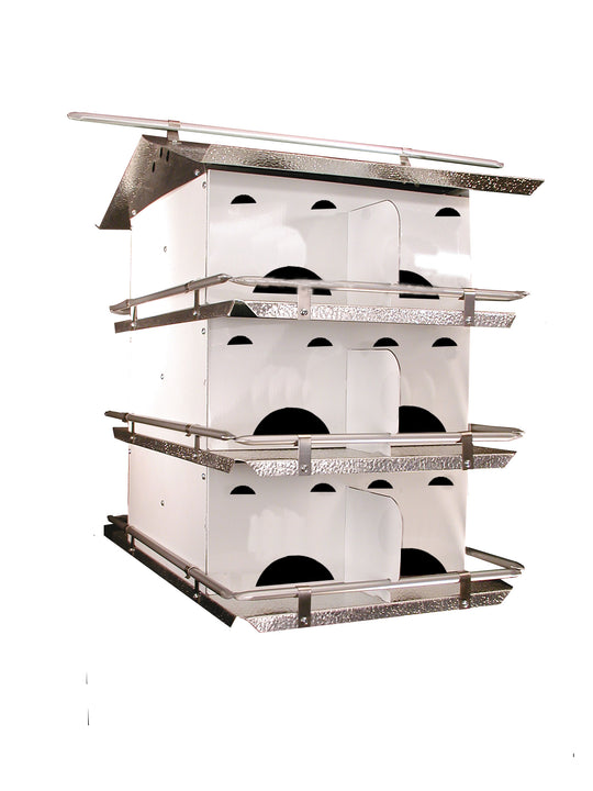 Birds Choice