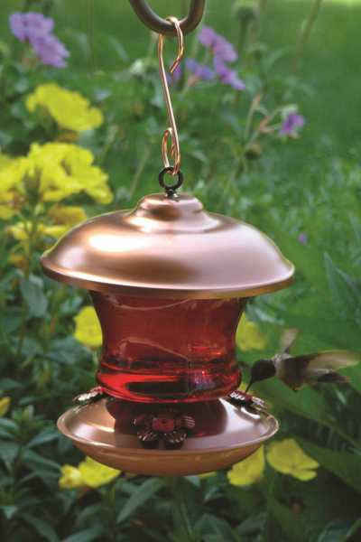 Hummingbird Feeders