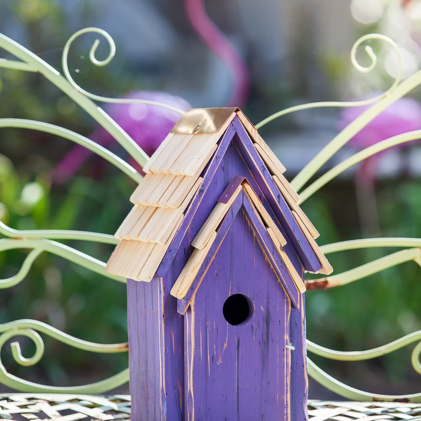 Bluebird Brights Bird House
