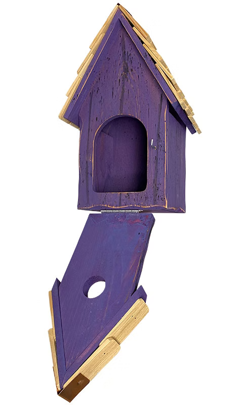 Bluebird Brights Bird House