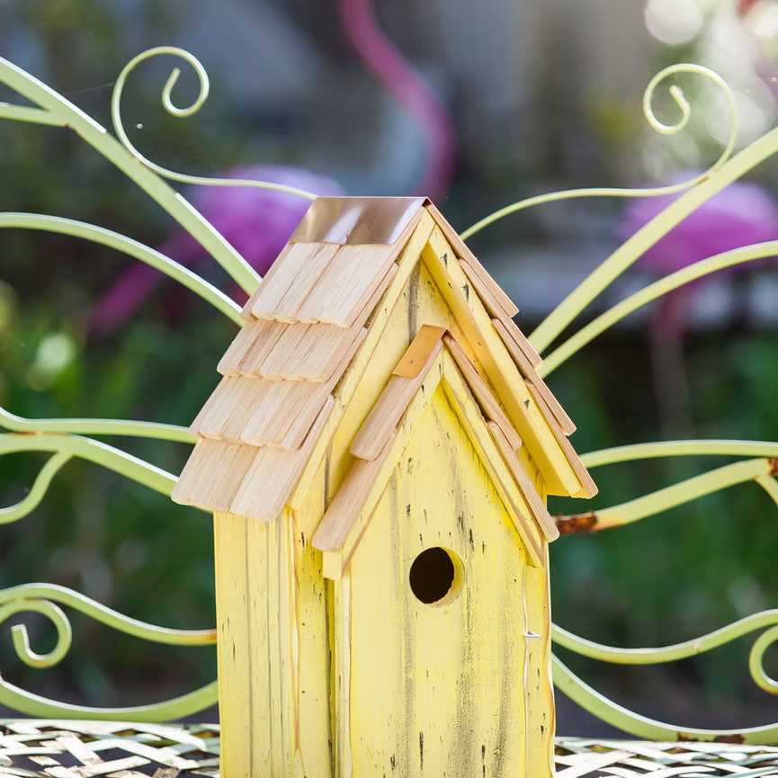 Bluebird Brights Bird House