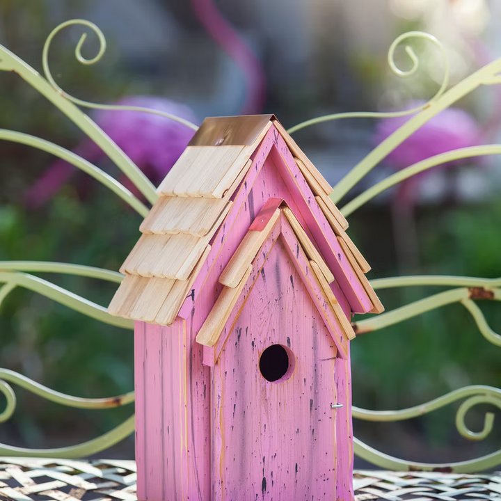 Bluebird Brights Bird House