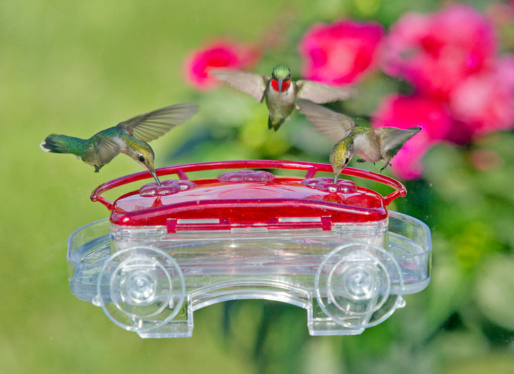 Aspects Jewel Box – Window Hummingbird Feeder