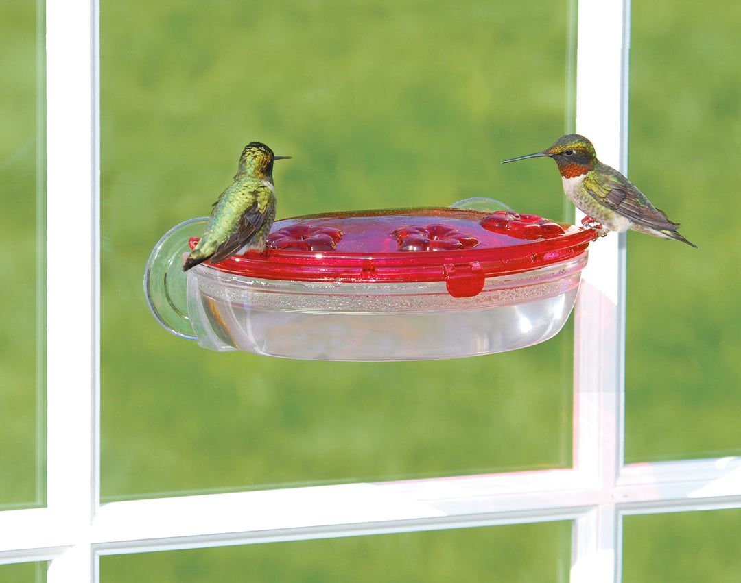 Aspects Jewel Box – Window Hummingbird Feeder