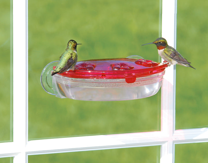 Aspects Jewel Box – Window Hummingbird Feeder