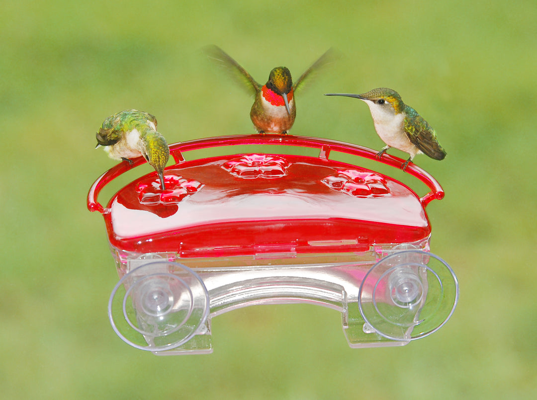 Aspects Jewel Box – Window Hummingbird Feeder