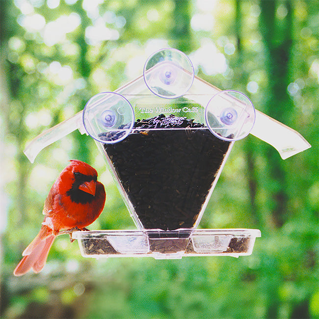 Aspects Window Cafe Transparent Window Feeder