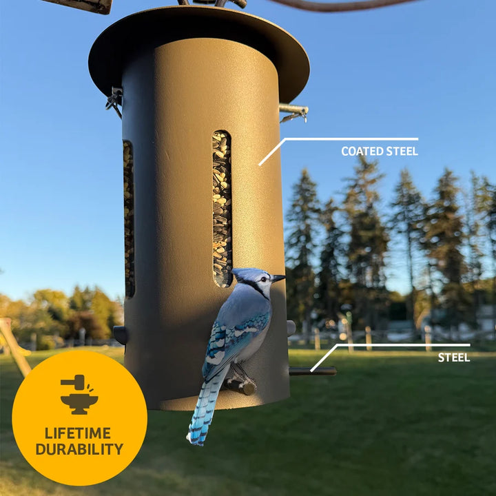 Birds Choice Bear Proof Bird Feeder