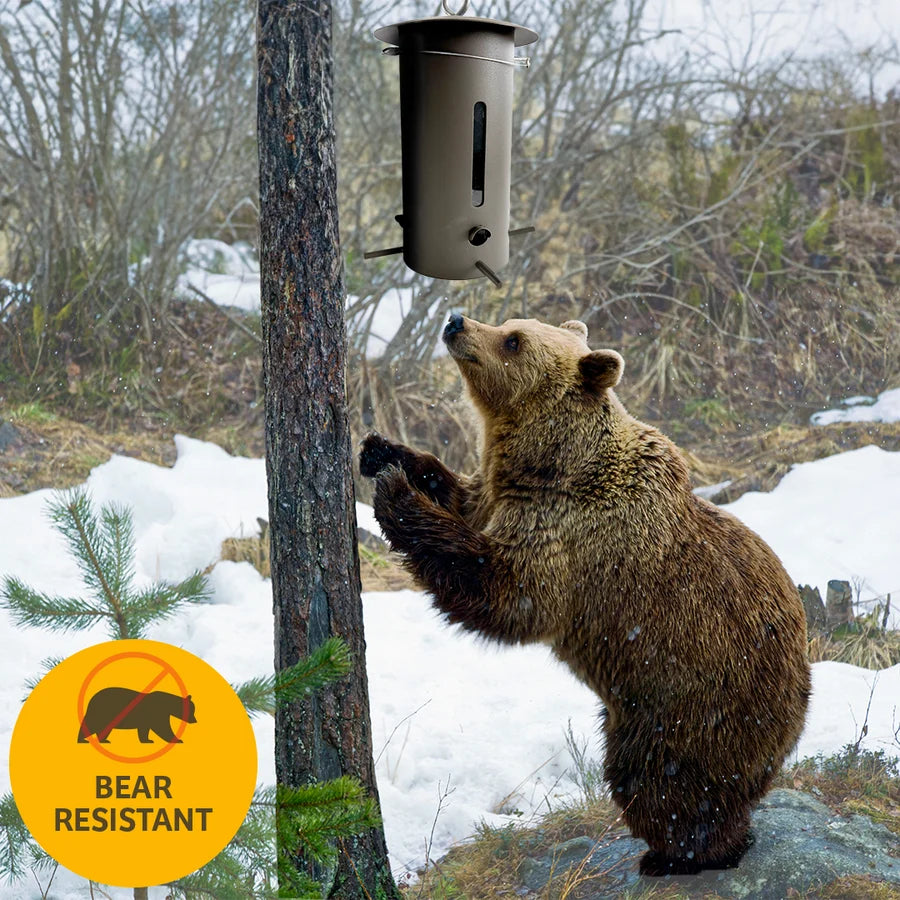 Birds Choice Bear Proof Bird Feeder