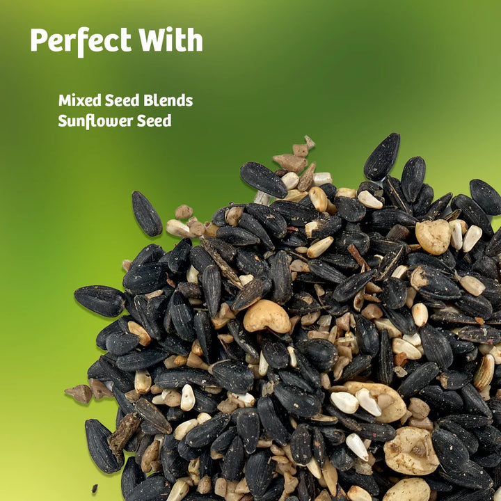 Birds Choice Bear Proof Bird Feeder
