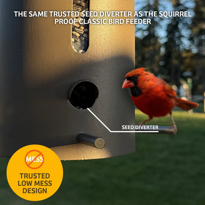 Birds Choice Bear Proof Bird Feeder