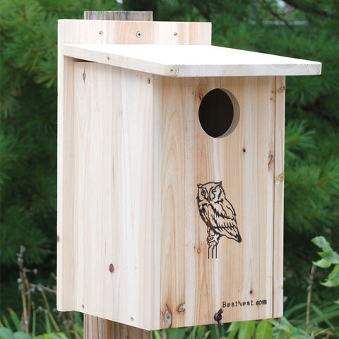NEW ARRIVAL - Premium Screech Owl / Kestrel House