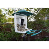 Beakview Bird Feeder Camera