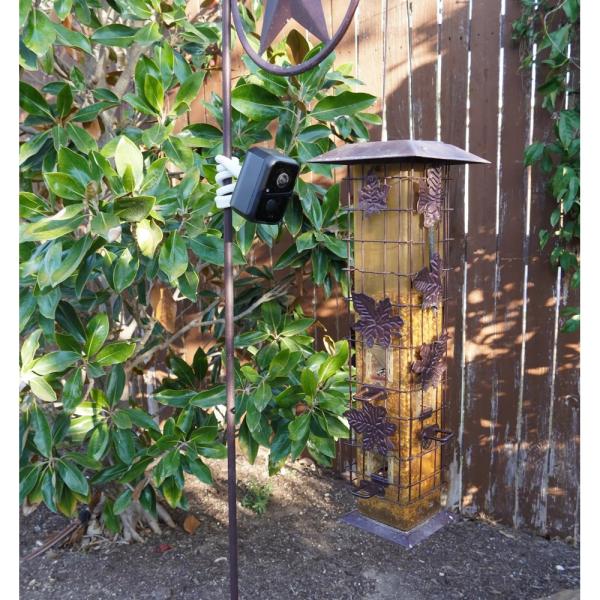 Beakview Feather Camera