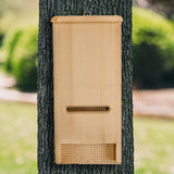 Coveside BATchelor Pad