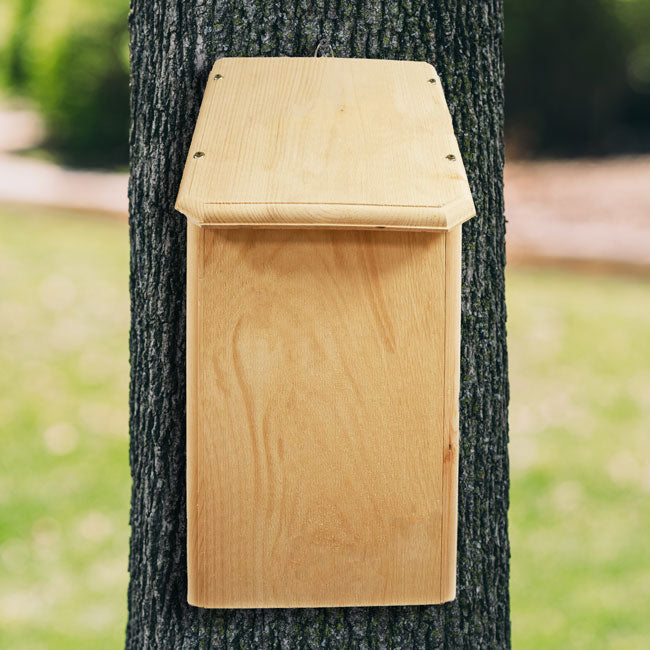 Coveside Bat Mansion