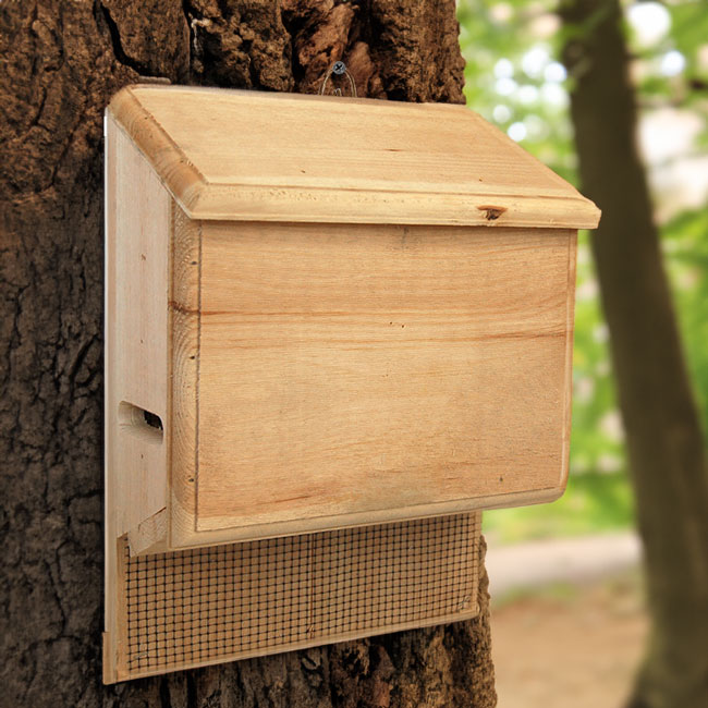 Coveside Sunshine's Bat House Small