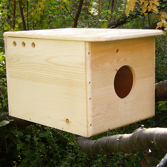 Barn Owl Boxes