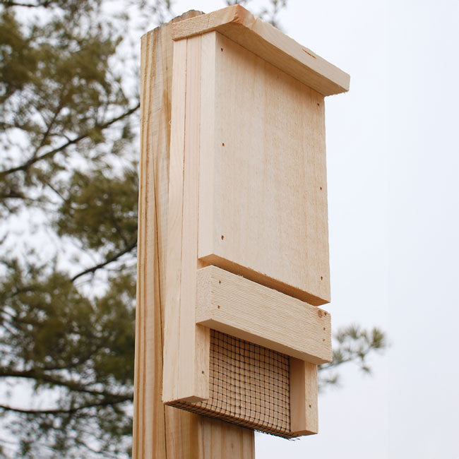 Coveside Bat House Kit
