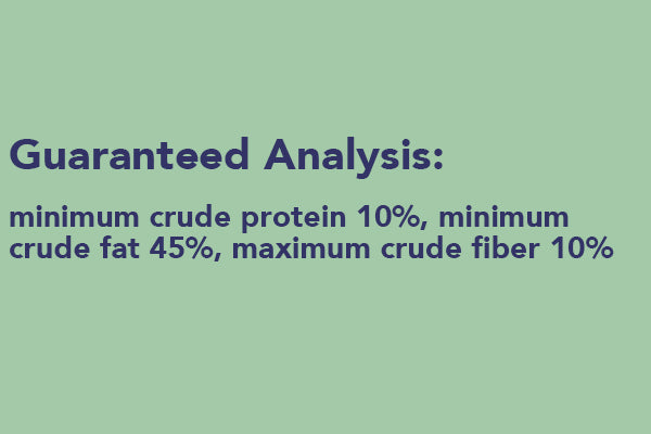 Woodpecker Treat Premium Suet Cake, 12 Pack