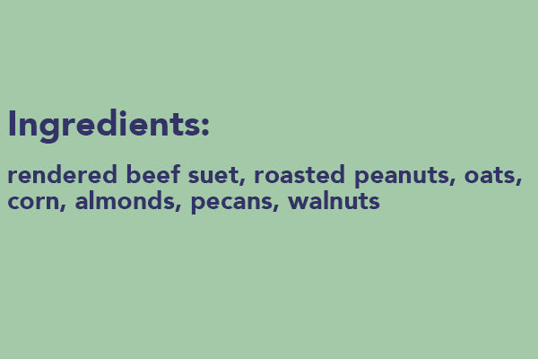 Woodpecker Treat Premium Suet Cake, 12 Pack