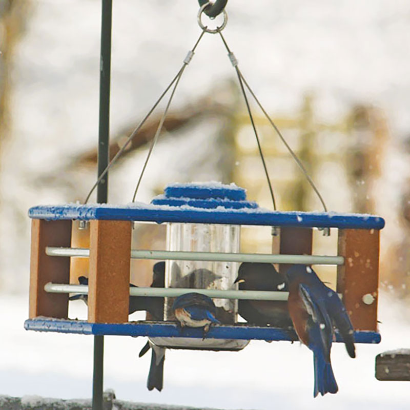 EcoTube Mealworm Bluebird Feeder - Recycled Material