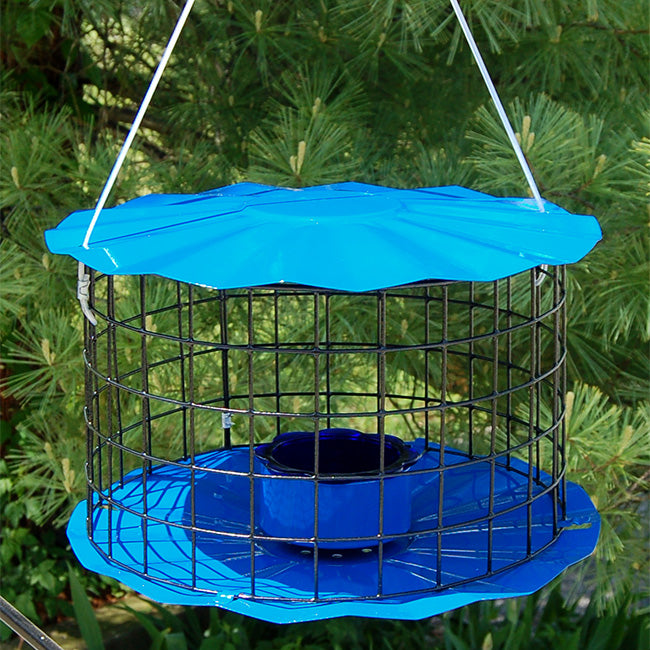 Erva Caged Bluebird Feeder