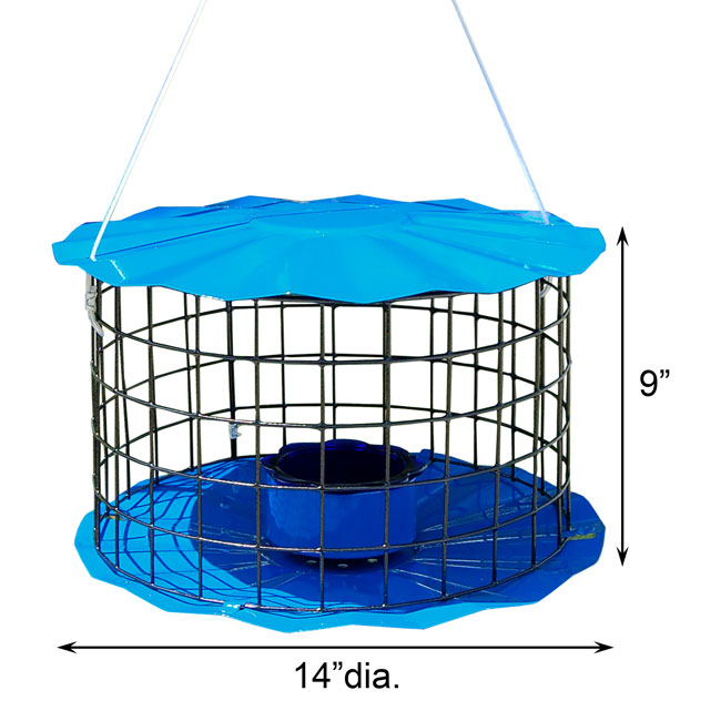 Erva Caged Bluebird Feeder