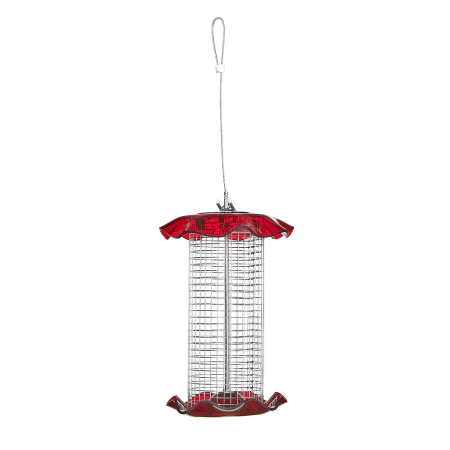 1 Quart Sunflower Forever Feeder