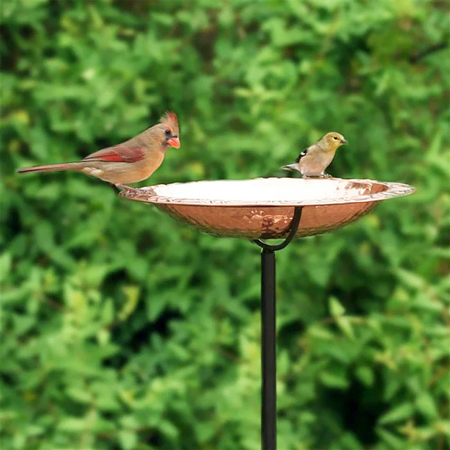 Good Directions Copper Bird Bath with Garden Pole