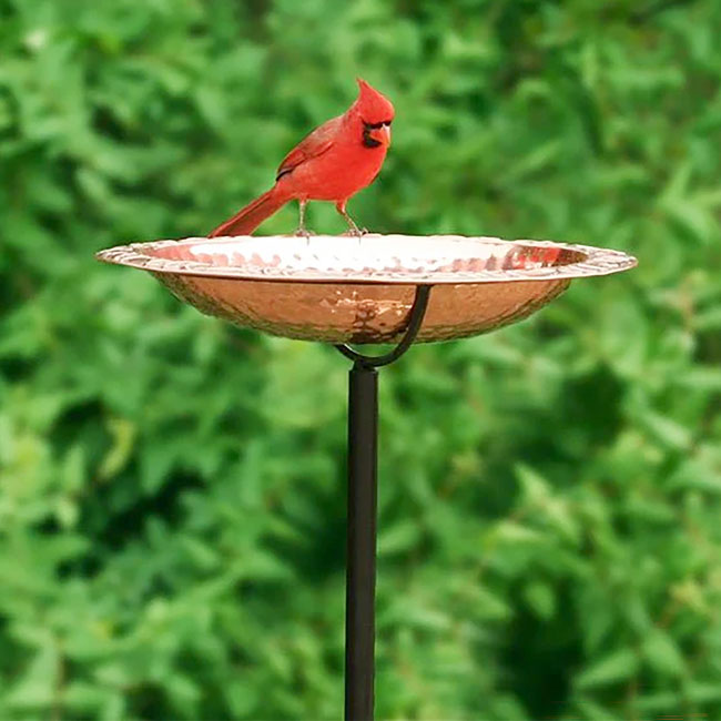 Good Directions Copper Bird Bath with Garden Pole