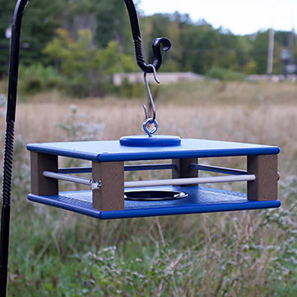 Blue bird feeder hanging outdoors with a natural background