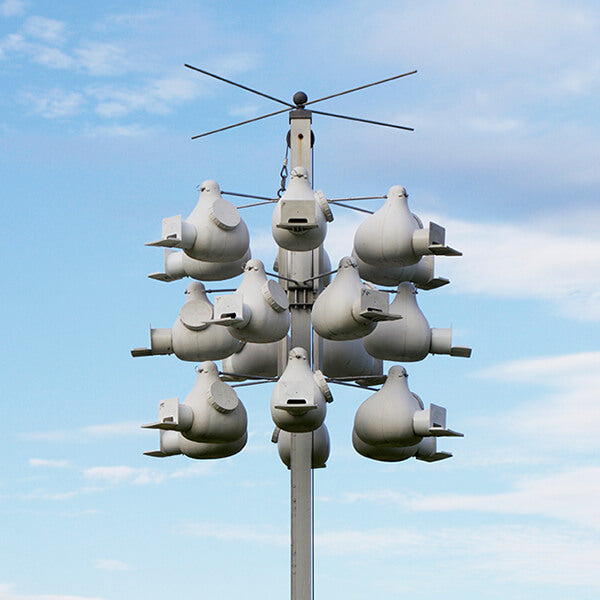 Troyer K18H Gourd Rack and Gourds