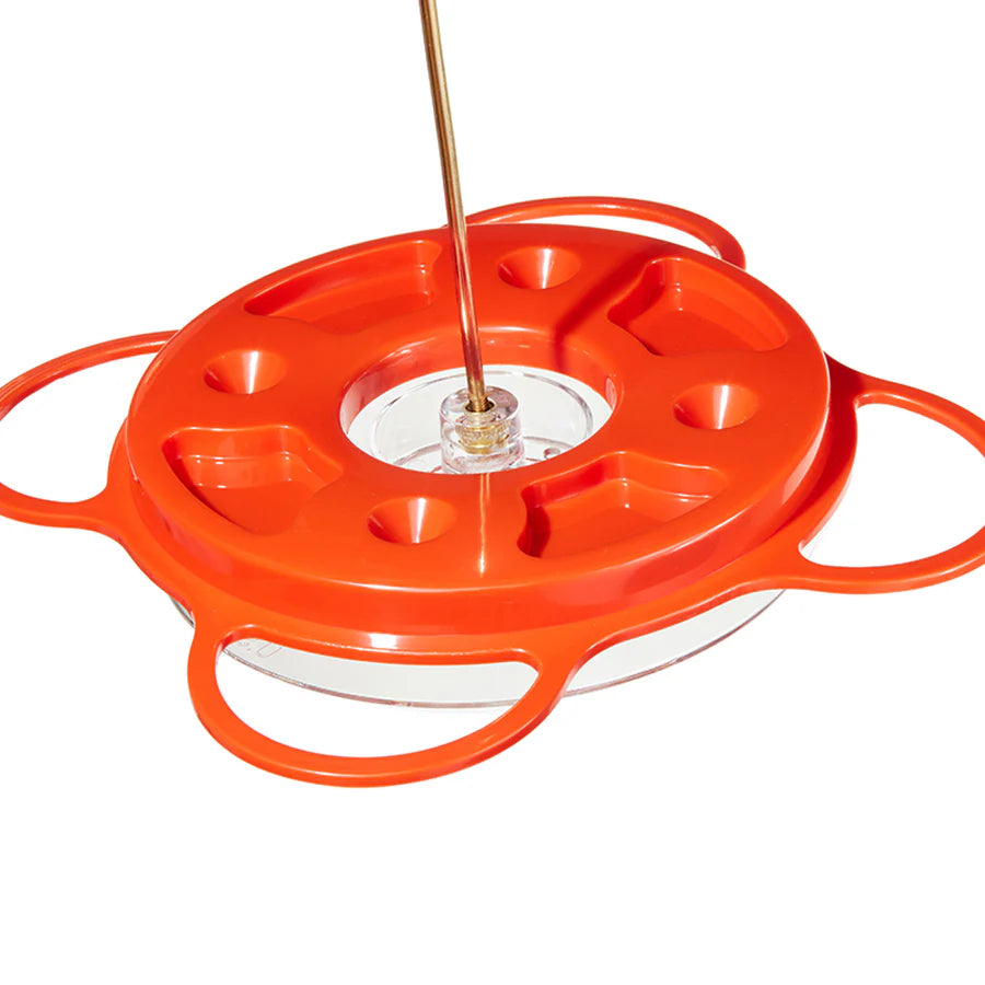 Oriolefest Oriole Bird Feeder for Oranges Jelly and 12 oz Nectar