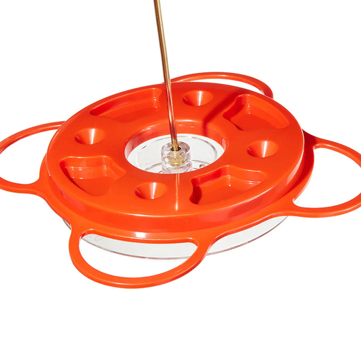 Oriolefest Oriole Bird Feeder for Oranges Jelly and 12 oz Nectar