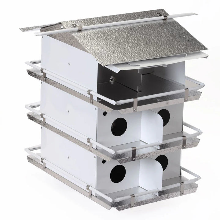 Birds Choice 3 Floor-12 Room Martin House