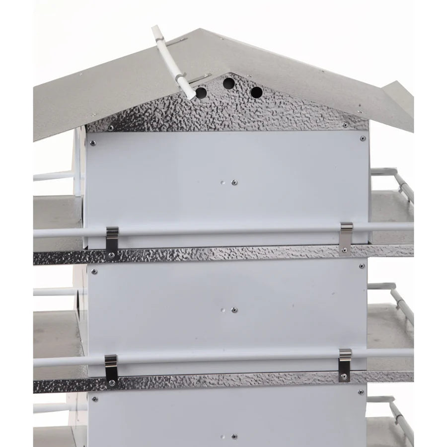 Birds Choice 4 Floor-16 Room Martin House