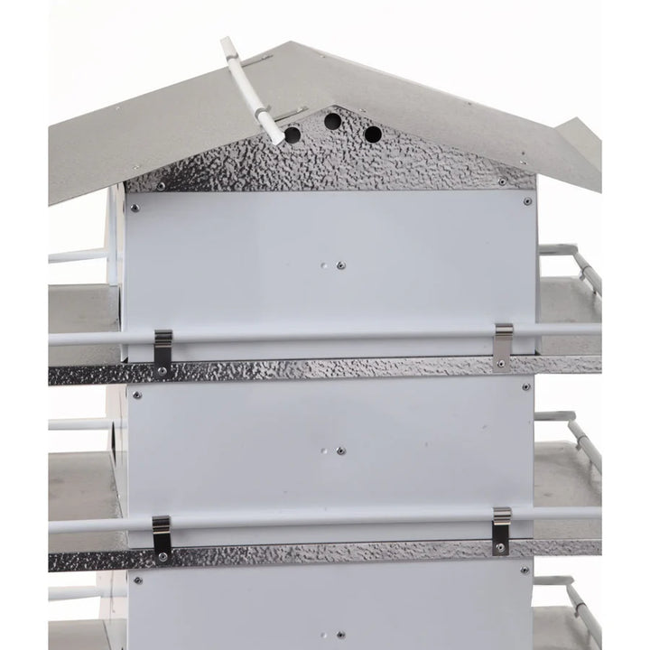 Birds Choice 4 Floor-16 Room Martin House