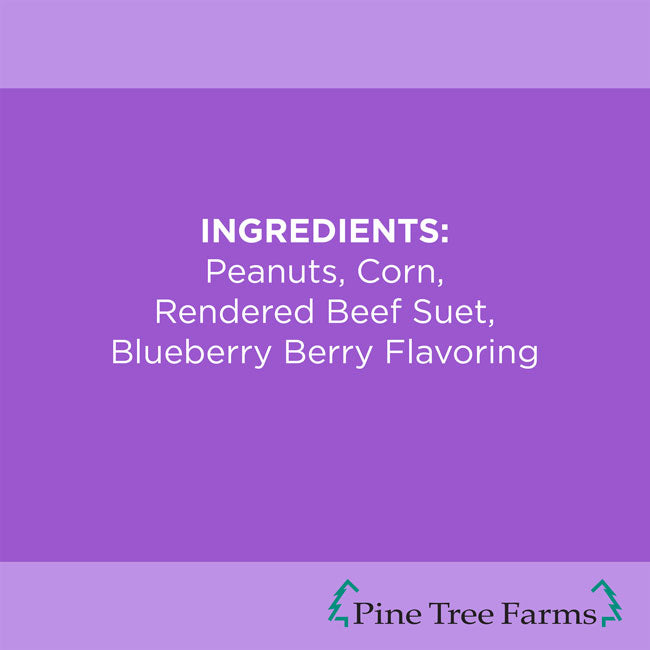 Never Melt Berry Suet Cake, 12 Pack