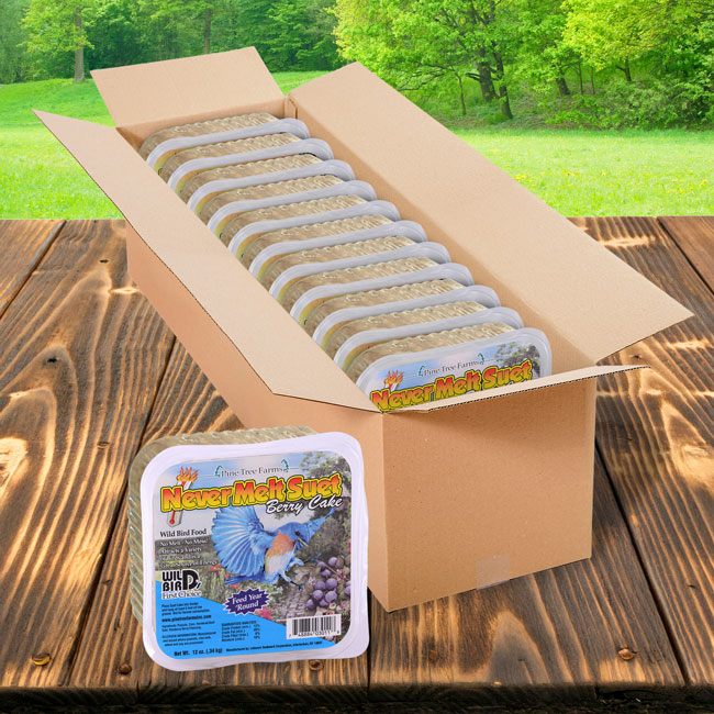 Never Melt Berry Suet Cake, 12 Pack