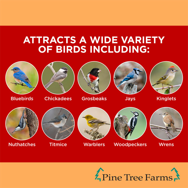 Never Melt Hot Pepper Suet Cake, 12 Pack